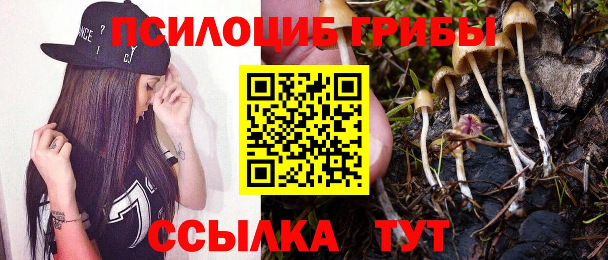 Псилоцибиновые грибы Cubensis  Вход с VPN  Избербаш  Псилоцибиновые грибы MAGIC MUSHROOMS 