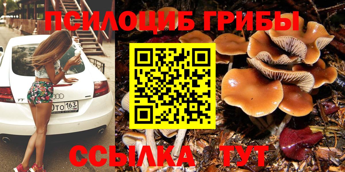 Псилоцибиновые грибы Magic Shrooms Избербаш